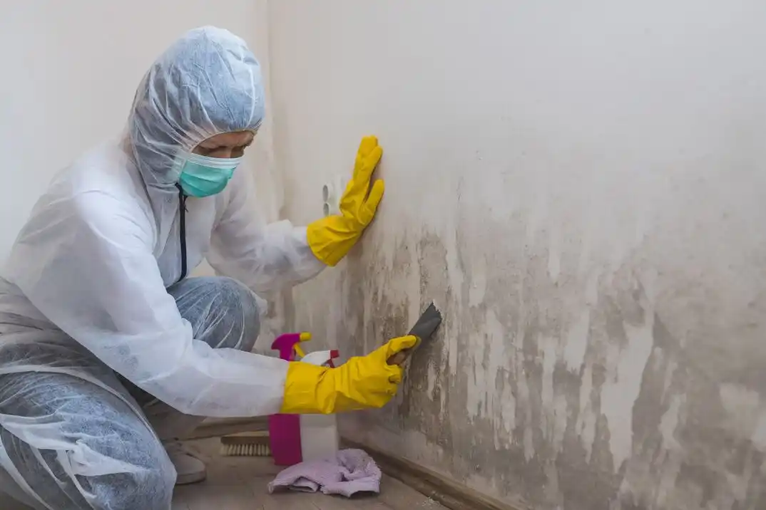 water damage restoration service Dellview Area
